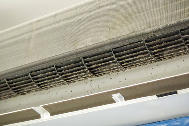 Best Air Duct Cleaning Company Near Me  in Leisuretowne, NJ